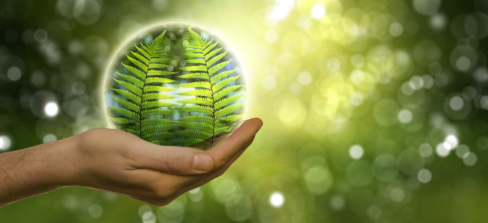 A CISO's Reach in a Breach